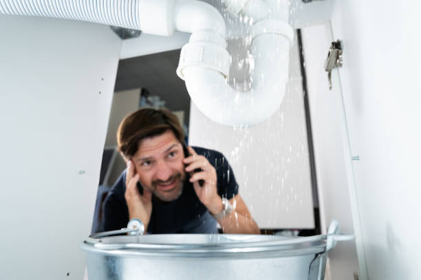 Best Clogged Drain Plumber  in Hawkinsville, GA